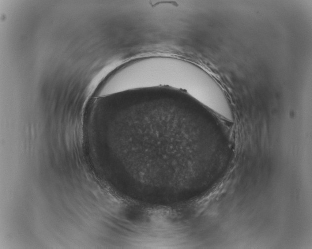 X0000088360200200706121103