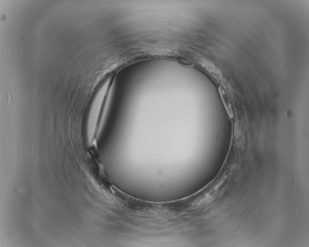 X0000088360201200706121103