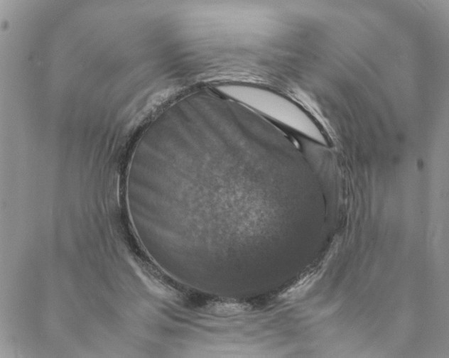 X0000088360205200706121103