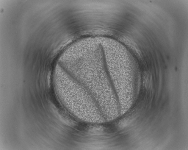 X0000088360206200706121103