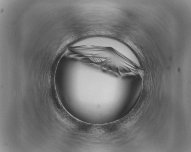 X0000088360207200706121103