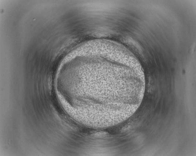 X0000088360210200706121103