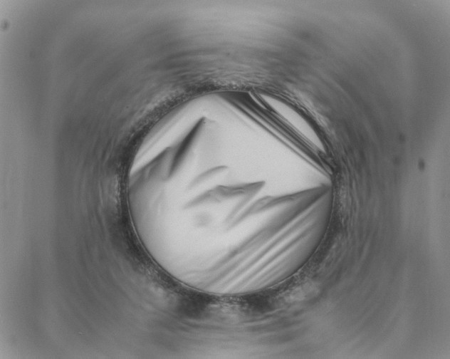 X0000088360211200706121103