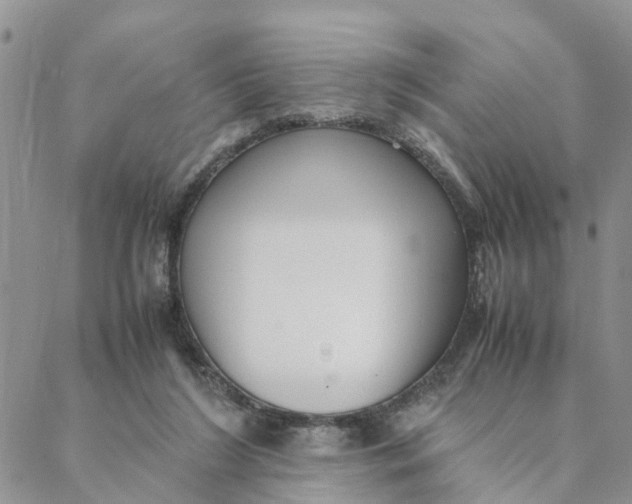 X0000088360212200706121103