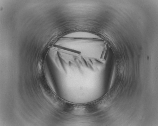 X0000088360214200706121103