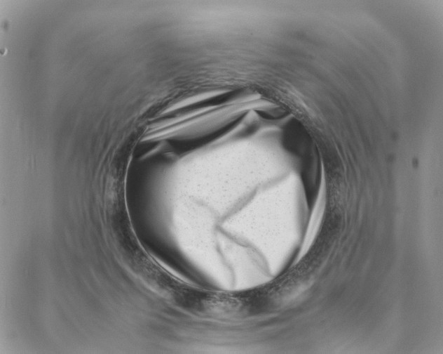 X0000088360215200706121103