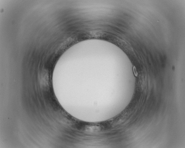 X0000088360220200706121103