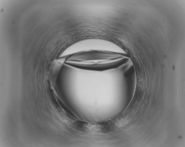 X0000088360221200706121103