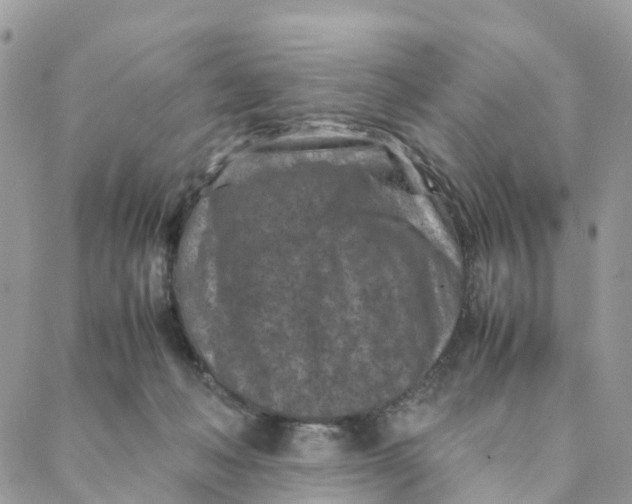 X0000088360222200706121103
