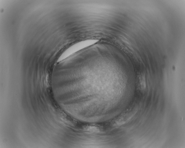 X0000088360224200706121103