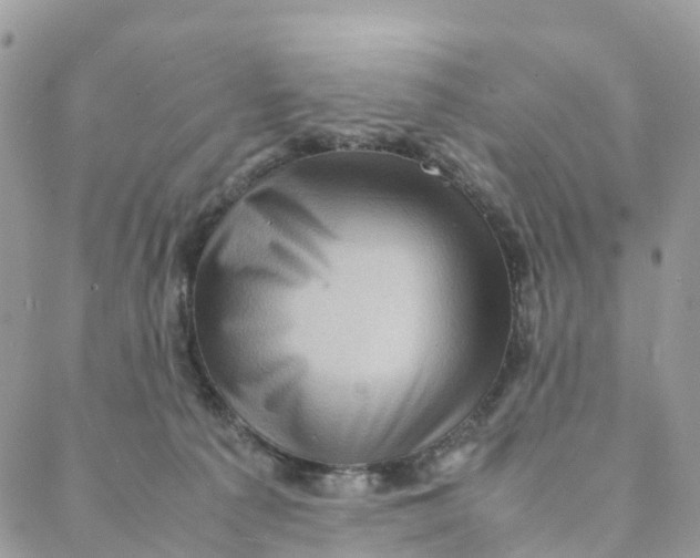 X0000088360225200706121103