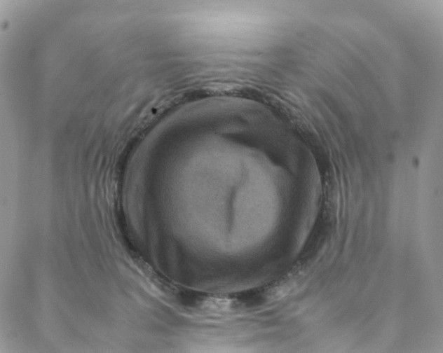 X0000088360227200706121103