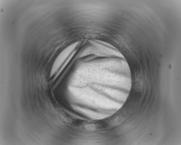 X0000088360228200706121103