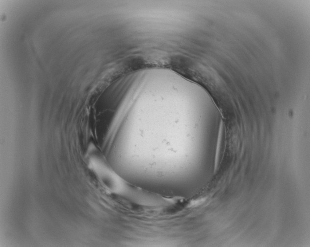 X0000088360229200706121103