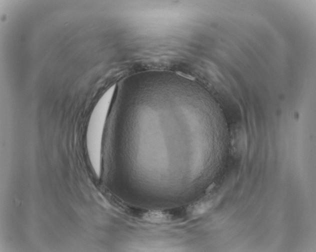 X0000088360231200706121103