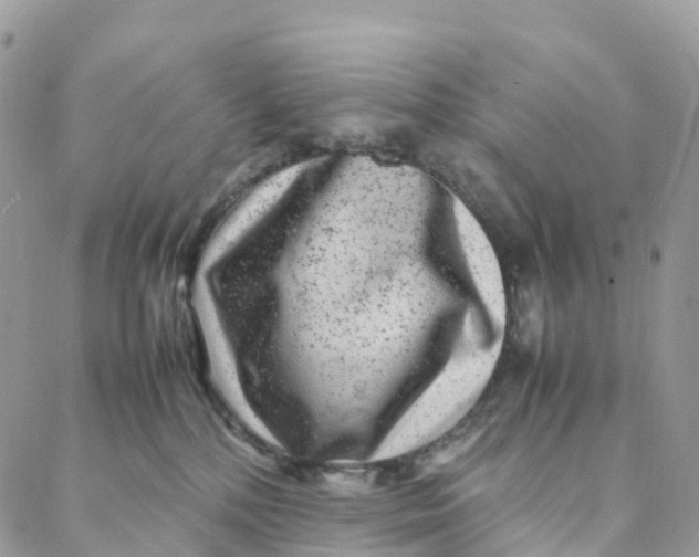 X0000088360232200706121103