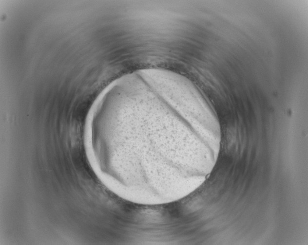 X0000088360236200706121103