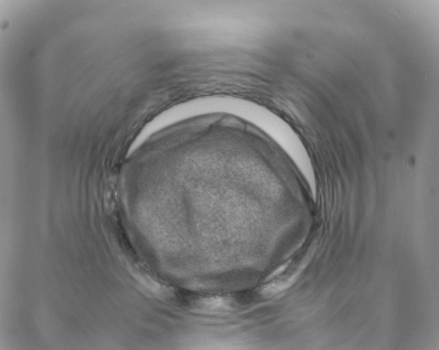 X0000088360237200706121103