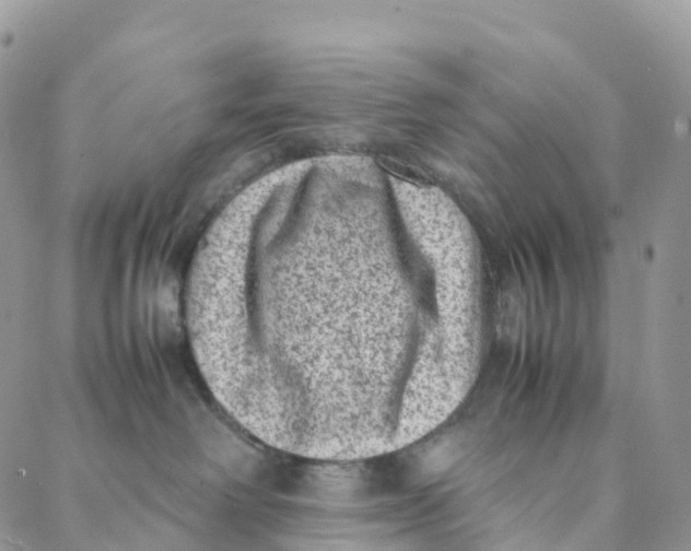 X0000088360238200706121103