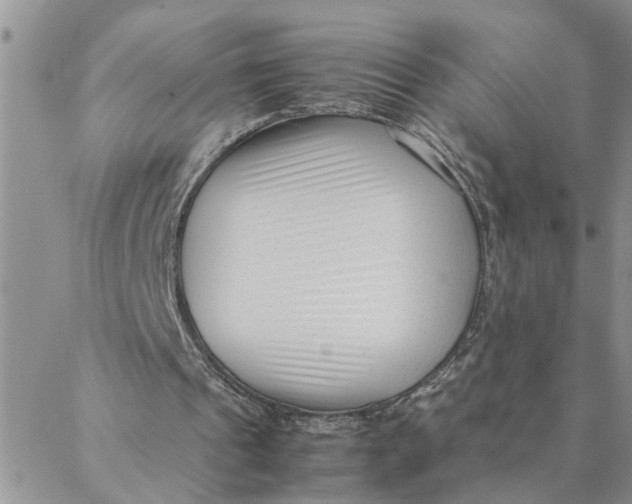 X0000088360241200706121102