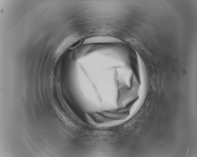 X0000088360242200706121102