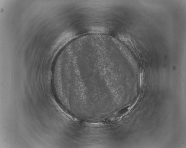 X0000088360243200706121102