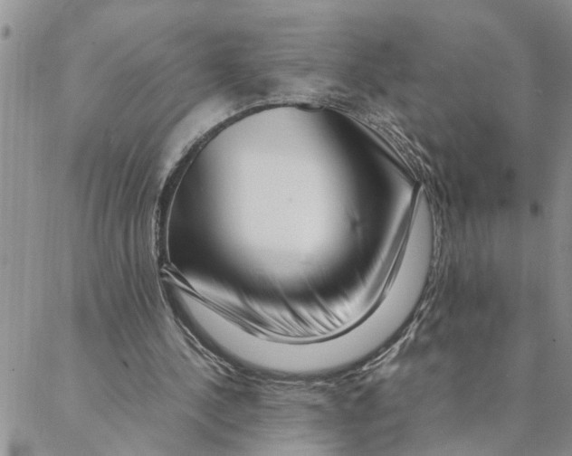 X0000088360244200706121102