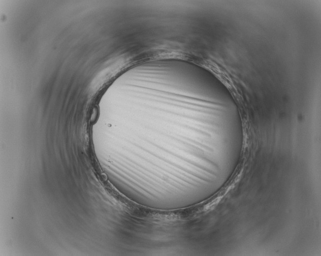 X0000088360245200706121102