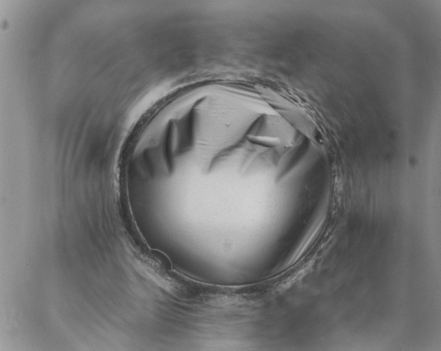 X0000088360246200706121102