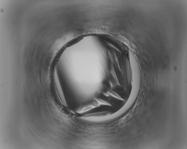 X0000088360248200706121102