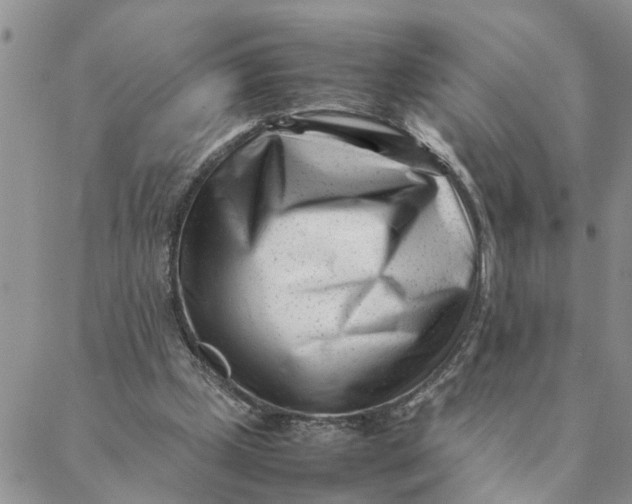 X0000088360249200706121102
