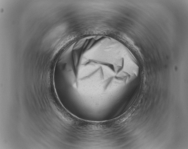 X0000088360250200706121102