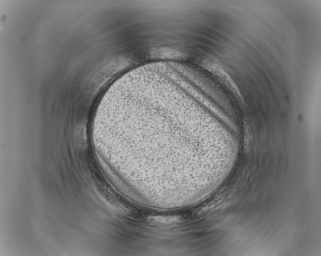 X0000088360251200706121102