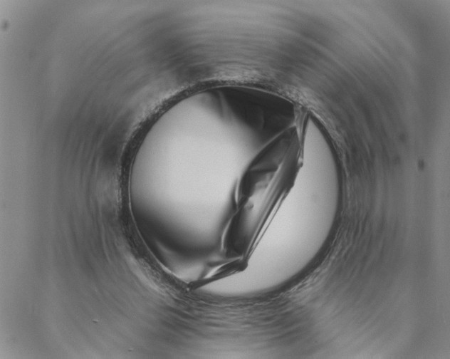 X0000088360252200706121102