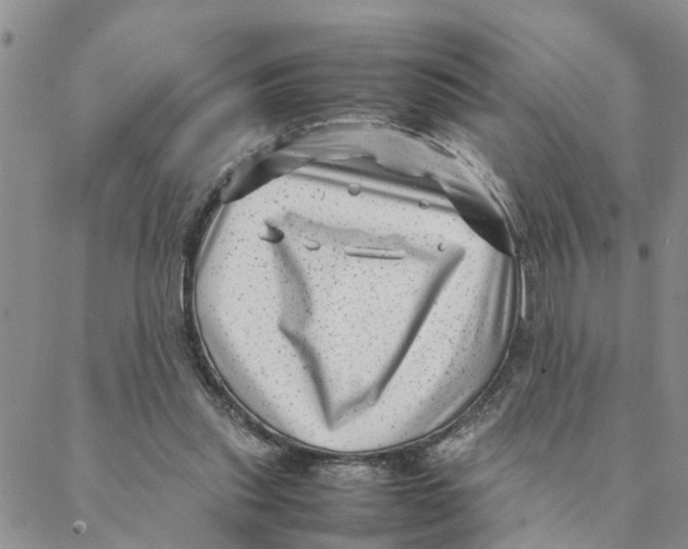 X0000088360253200706121102