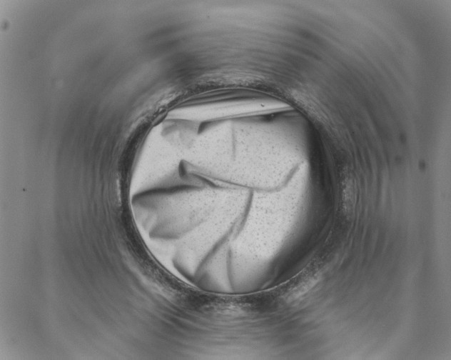 X0000088360254200706121102