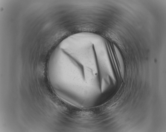 X0000088360255200706121102