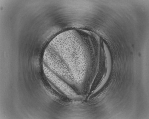 X0000088360256200706121102