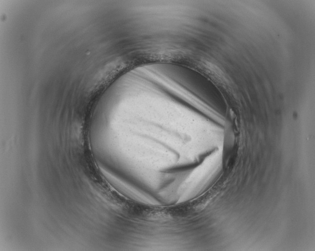 X0000088360258200706121102