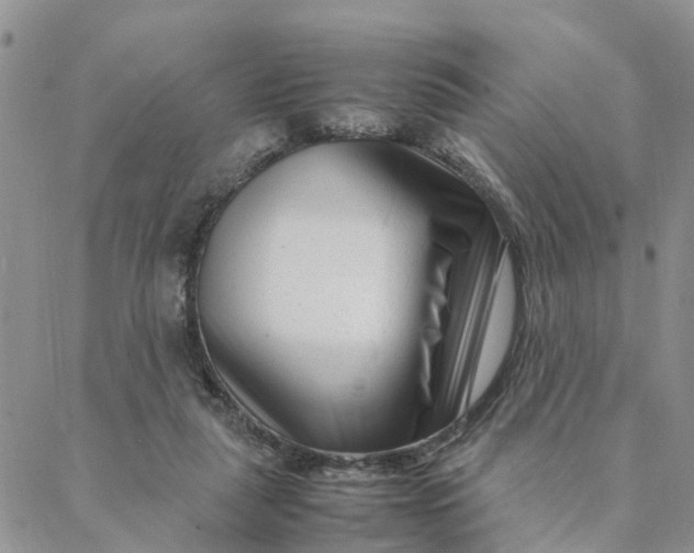 X0000088360259200706121102