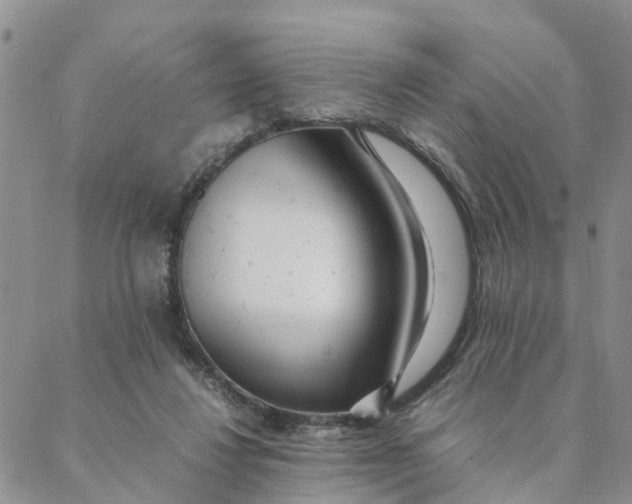 X0000088360260200706121102