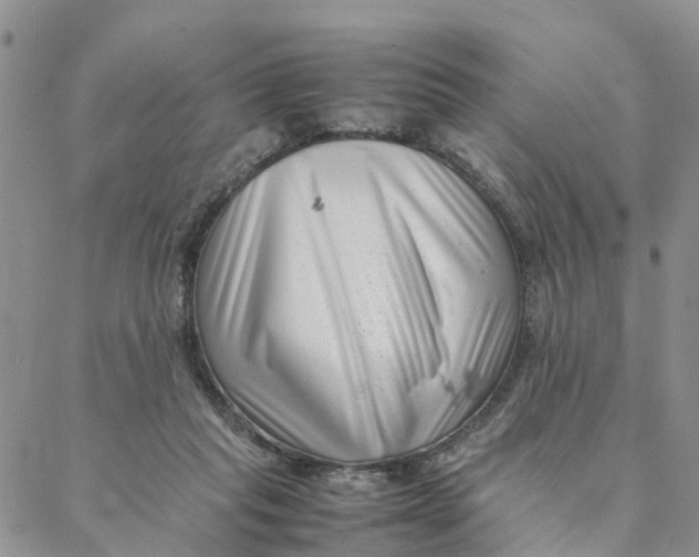 X0000088360261200706121102