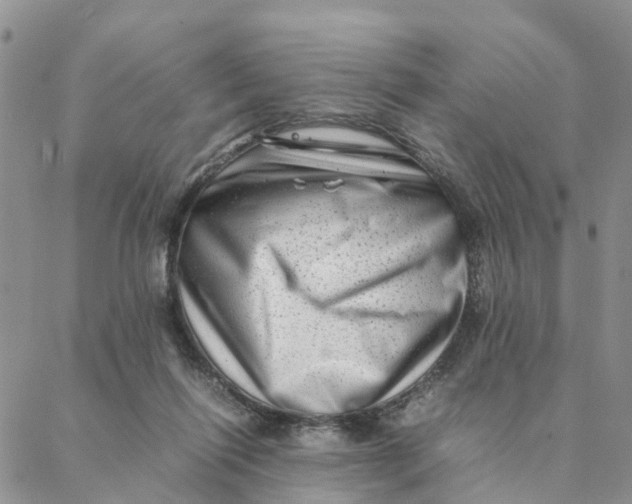 X0000088360262200706121102