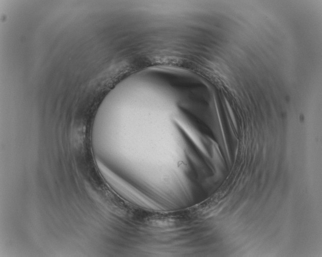 X0000088360263200706121102