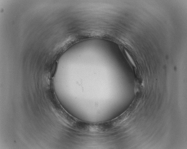 X0000088360264200706121102