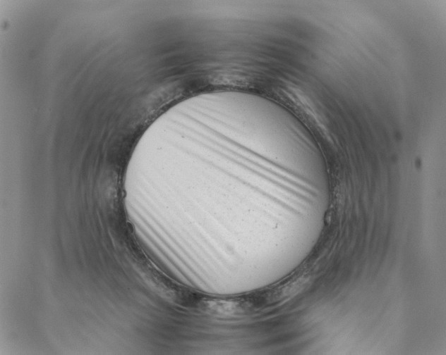 X0000088360265200706121102
