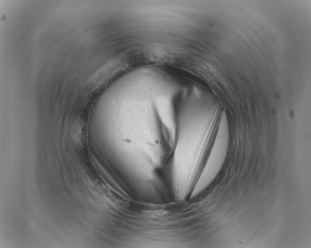 X0000088360266200706121102