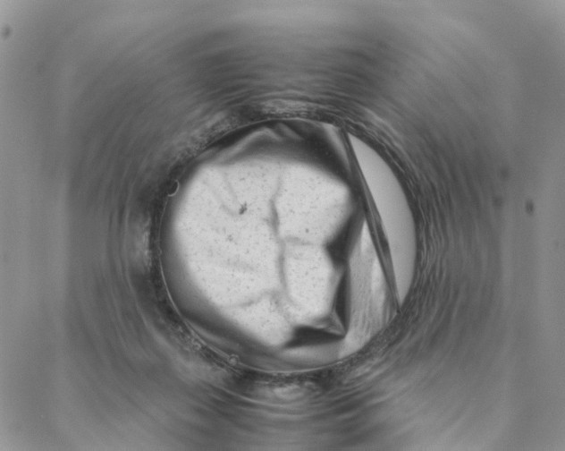 X0000088360267200706121102