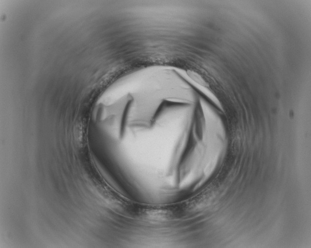 X0000088360268200706121102