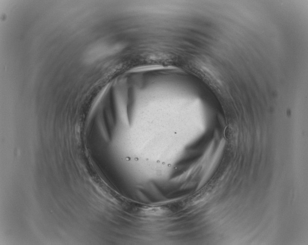 X0000088360269200706121102